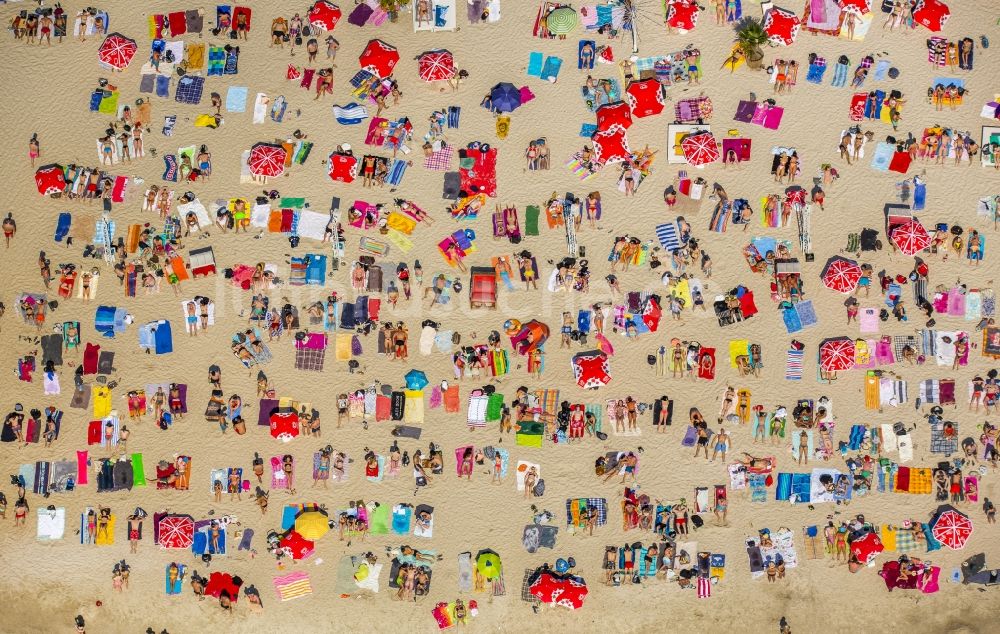 Luftaufnahme Köln - Massenandrang von Badegästen an Strand und Uferbereich des Sees Escher See in Köln im Bundesland Nordrhein-Westfalen