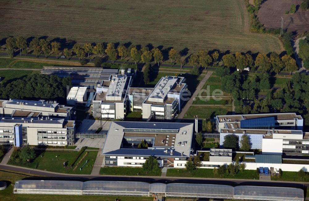 Potsdam von oben - Max - Planck - Institute in Potsdam im Bundesland Brandenburg