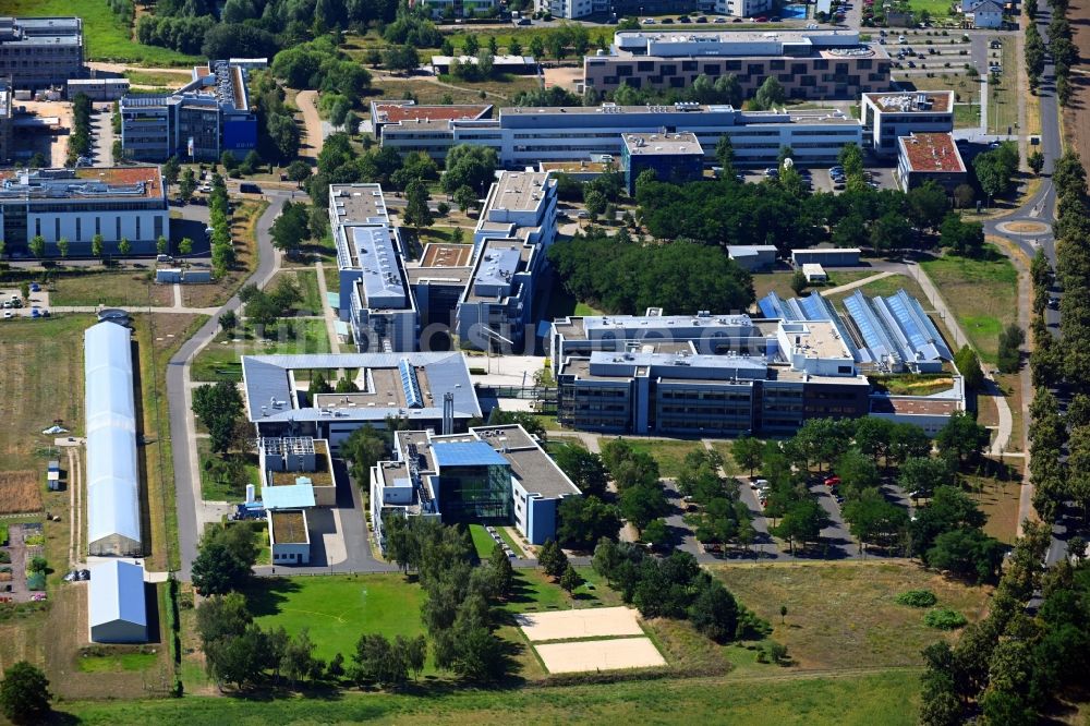 Potsdam aus der Vogelperspektive: Max - Planck - Institute in Potsdam . Golm im Bundesland Brandenburg