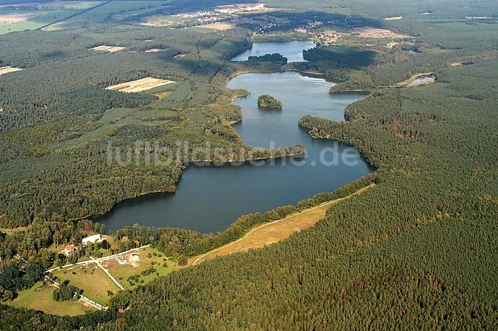 Maxsee / Brandenburg aus der Vogelperspektive: Maxsee und Maxsiedlung südlich von Straußberg bei Möncheberg 01.10.2003