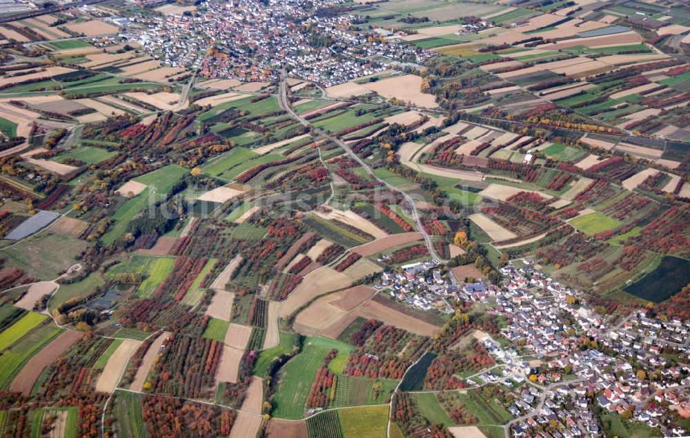 Luftbild Oberkirch - Meer bunt gefärbter Blätter an den Baumspitzen in einem Gebiet mit Baumschulen in Oberkirch im Bundesland Baden-Württemberg