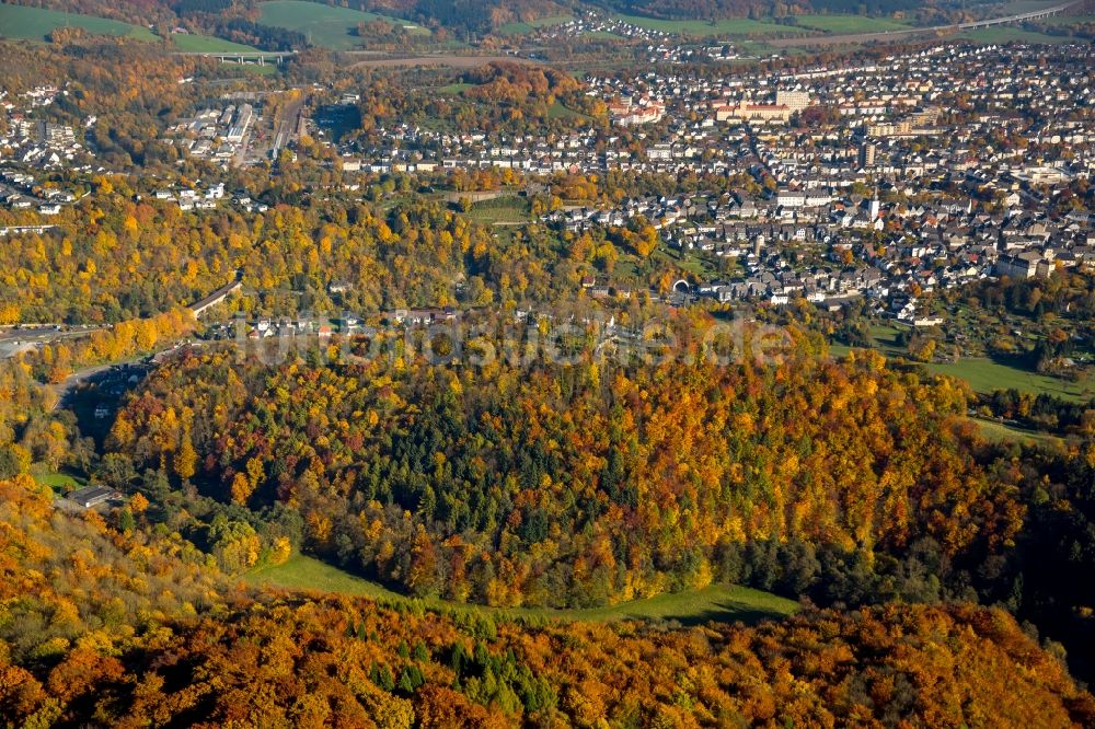 Arnsberg aus der Vogelperspektive: Meer bunt gefärbter Blätter an den Baumspitzen in einem Laubbaum- Waldgebiet in Arnsberg im Bundesland Nordrhein-Westfalen