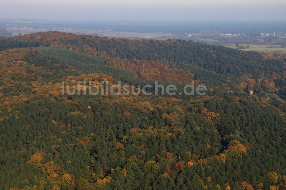 Oderberg von oben - Meer bunt gefärbter Blätter an den Baumspitzen in einem Laubbaum- Waldgebiet in Oderberg im Bundesland Brandenburg