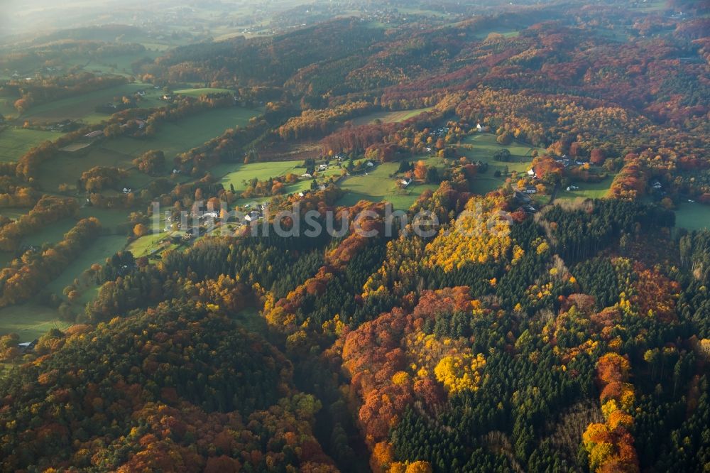 Luftbild Witten - Meer bunt gefärbter Blätter an den Baumspitzen in einem Laubbaum- Waldgebiet im Süden von Witten im Bundesland Nordrhein-Westfalen