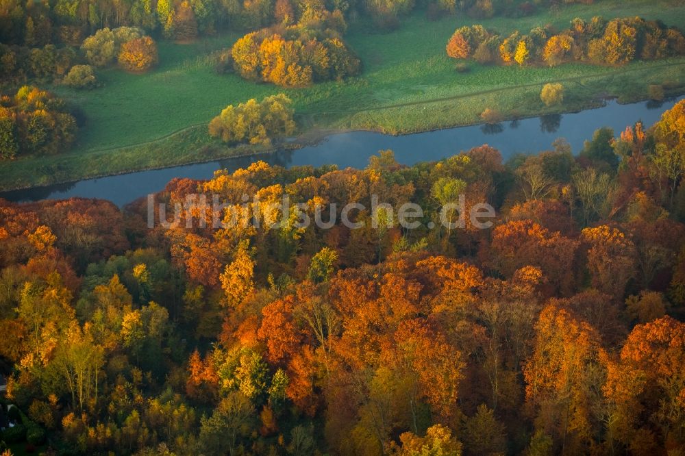 Essen von oben - Meer bunt gefärbter Blätter an den Baumspitzen in einem Laubbaum- Waldgebiet am Ufer der Ruhr im Stadtteil Kettwig in Essen im Bundesland Nordrhein-Westfalen