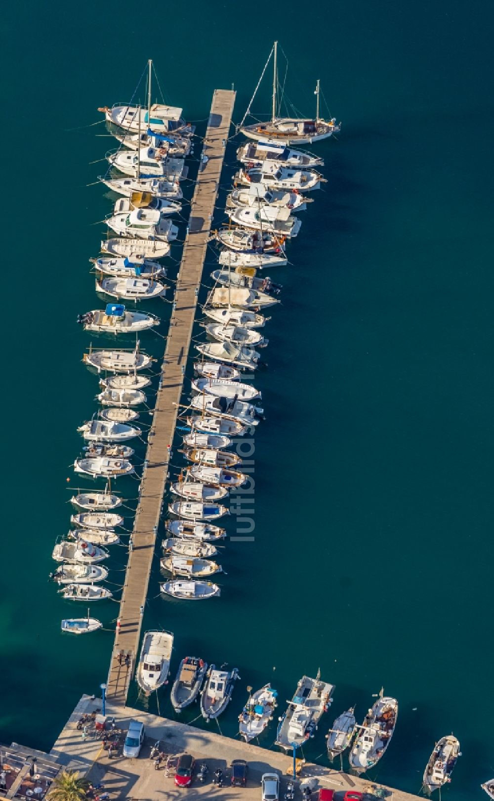 Luftaufnahme Port d'Andratx - Meeres-Küste mit dem Hafen von Port d'Andratx in Andratx in Balearische Insel Mallorca, Spanien