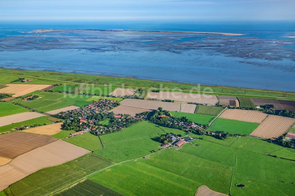 Luftbild Wangerland - Meeres-Küste Minsen in Wangerland im Bundesland Niedersachsen, Deutschland