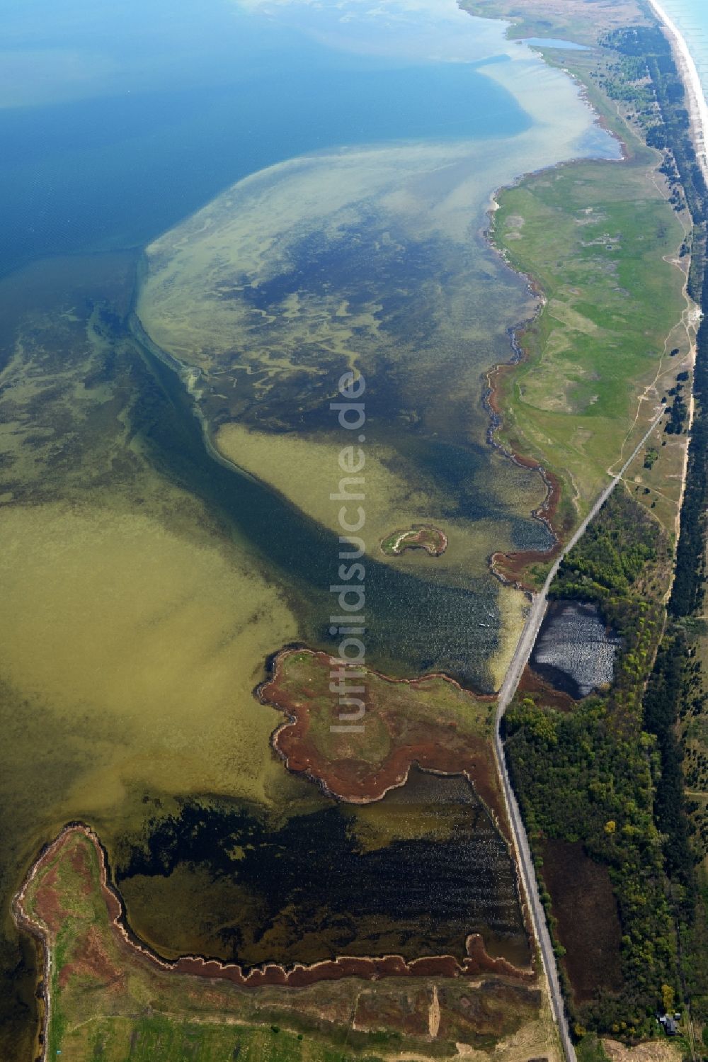 Luftbild Insel Hiddensee - Meeres- Küste der Ostsee auf der Insel Hiddensee im Bundesland Mecklenburg-Vorpommern