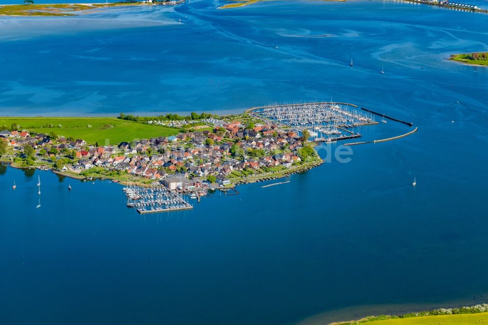 Maasholm aus der Vogelperspektive: Meeres-Küste der Ostsee Segehhäfen in Maasholm am Ufer der Schlei im Bundesland Schleswig-Holstein