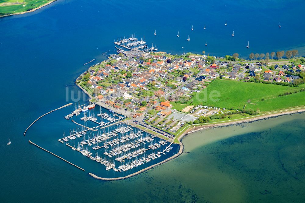 Maasholm von oben - Meeres-Küste der Ostsee Segelhäfen in Maasholm am Ufer der Schlei im Bundesland Schleswig-Holstein