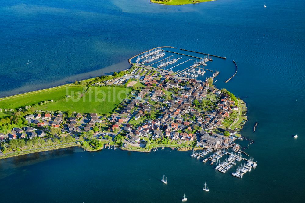 Luftaufnahme Maasholm - Meeres-Küste der Ostsee Segelhäfen in Maasholm am Ufer der Schlei im Bundesland Schleswig-Holstein