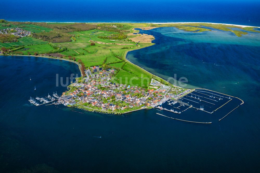 Maasholm von oben - Meeres-Küste der Ostsee Segelhäfen in Maasholm am Ufer der Schlei im Bundesland Schleswig-Holstein