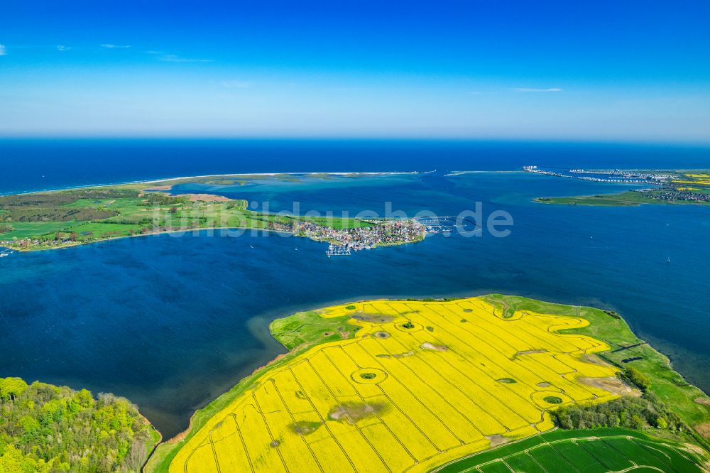 Luftbild Maasholm - Meeres-Küste der Ostsee Segelhäfen in Maasholm am Ufer der Schlei im Bundesland Schleswig-Holstein