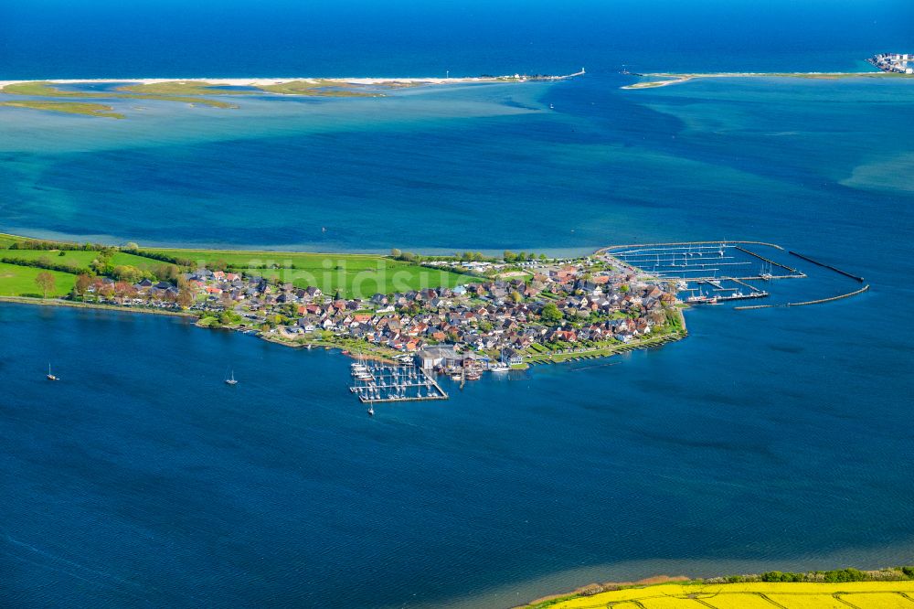 Luftaufnahme Maasholm - Meeres-Küste der Ostsee Segelhäfen in Maasholm am Ufer der Schlei im Bundesland Schleswig-Holstein