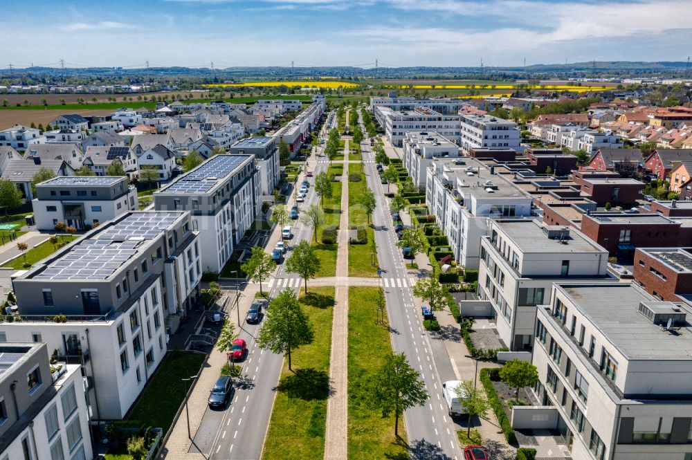 Luftbild Köln - Mehrfamilienhaussiedlung im Ortsteil Widdersdorf in Köln im Bundesland Nordrhein-Westfalen, Deutschland