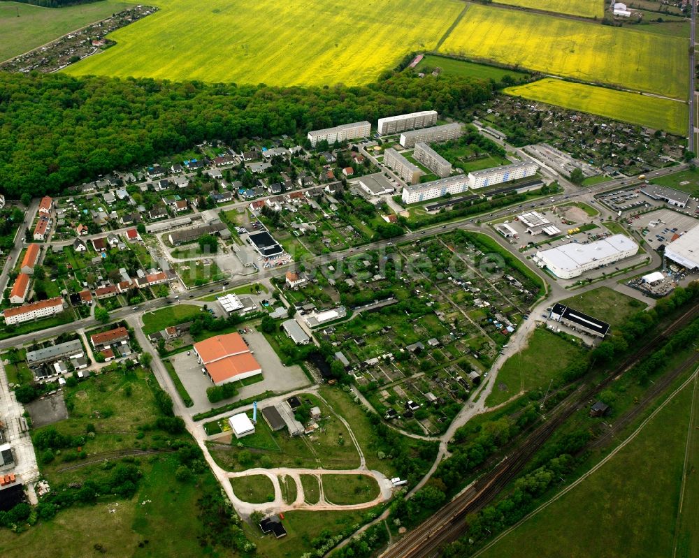 Roßlau Elbe von oben - Mehrfamilienhaussiedlung am Waldfrieden in Rosslau Elbe im Bundesland Sachsen-Anhalt, Deutschland