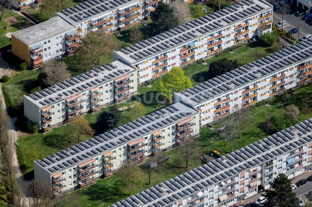 Frankfurt am Main von oben - Mehrfamilienhaussiedlung zwischen Kameruner Rosengärtchen - Idsteiner Straße - Schneidhainer Straße in Frankfurt am Main im Bundesland Hessen, Deutschland