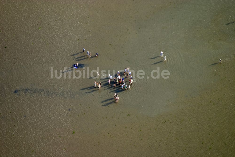 Luftbild Dagebüll - Menschen im Wattenmeer in Dagebüll im Bundesland Schleswig-Holstein