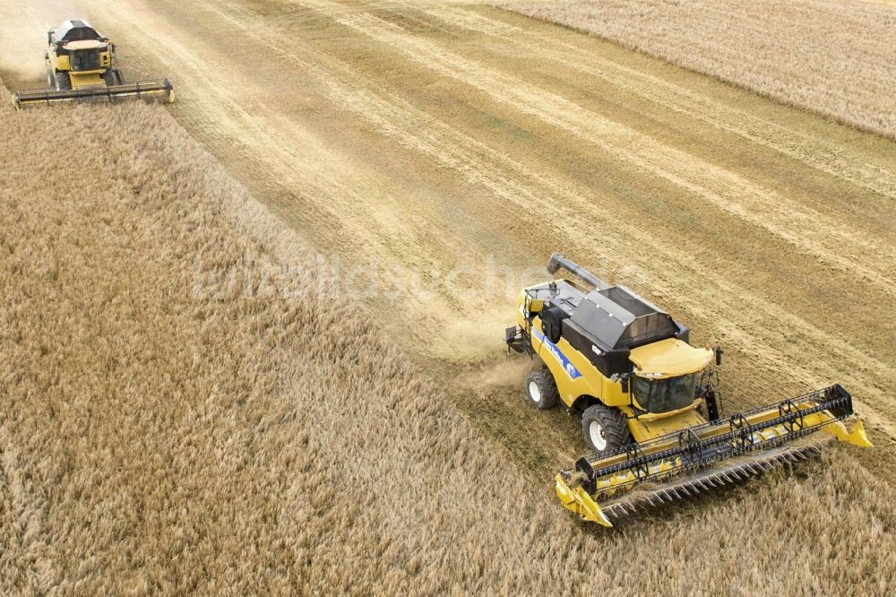 Grimma aus der Vogelperspektive: Mähdrescher im Ernte - Einsatz auf einem Feld einer Landwirtschaft bei Grimma im Bundesland Sachsen