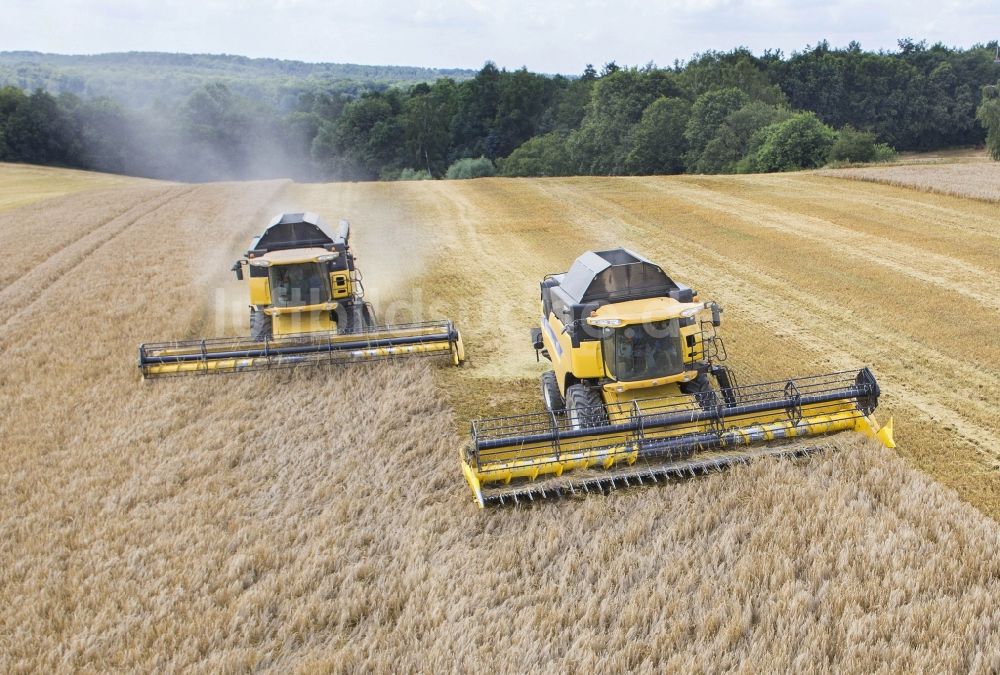 Luftbild Grimma - Mähdrescher im Ernte - Einsatz auf einem Feld einer Landwirtschaft bei Grimma im Bundesland Sachsen