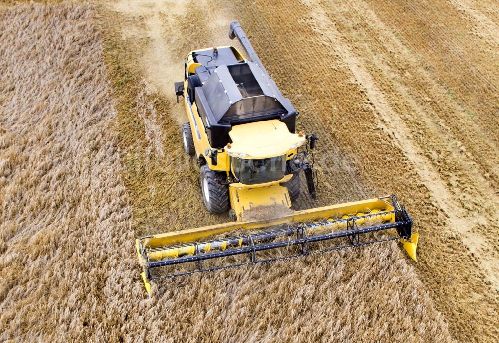 Luftaufnahme Grimma - Mähdrescher im Ernte - Einsatz auf einem Feld einer Landwirtschaft bei Grimma im Bundesland Sachsen