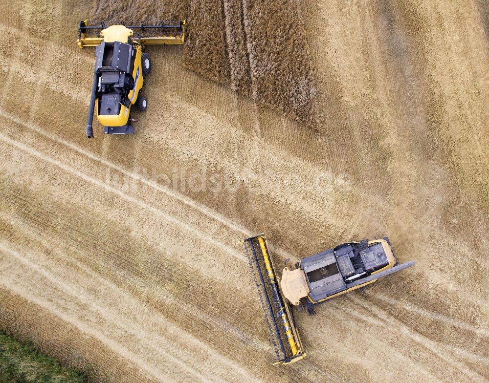 Grimma von oben - Mähdrescher im Ernte - Einsatz auf einem Feld einer Landwirtschaft bei Grimma im Bundesland Sachsen