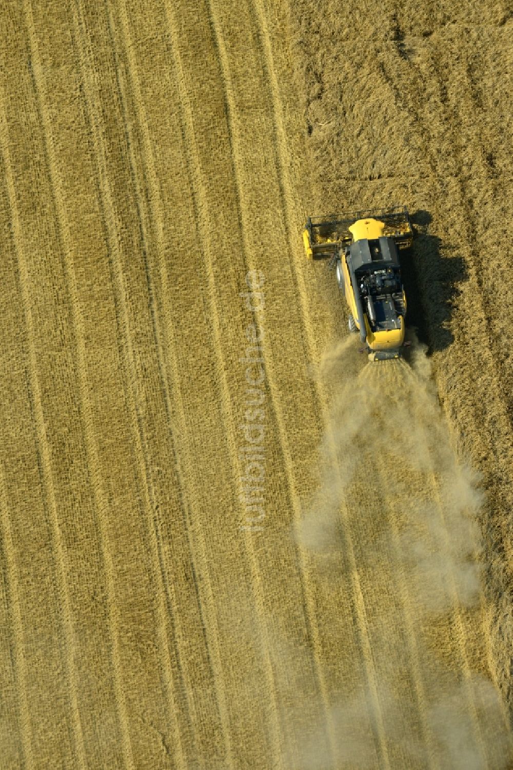 Luftbild Rauschwitz - Mähdrescher eines Landwirtschaftsbetriebes bei der Ernte auf einem Getreidefeld bei Rauschwitz im Bundesland Thüringen