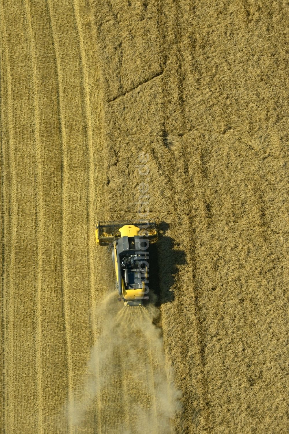 Luftaufnahme Rauschwitz - Mähdrescher eines Landwirtschaftsbetriebes bei der Ernte auf einem Getreidefeld bei Rauschwitz im Bundesland Thüringen