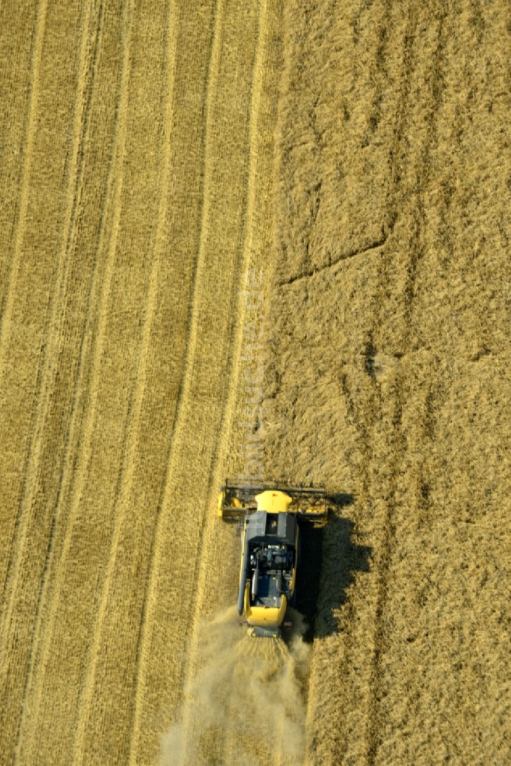 Rauschwitz von oben - Mähdrescher eines Landwirtschaftsbetriebes bei der Ernte auf einem Getreidefeld bei Rauschwitz im Bundesland Thüringen