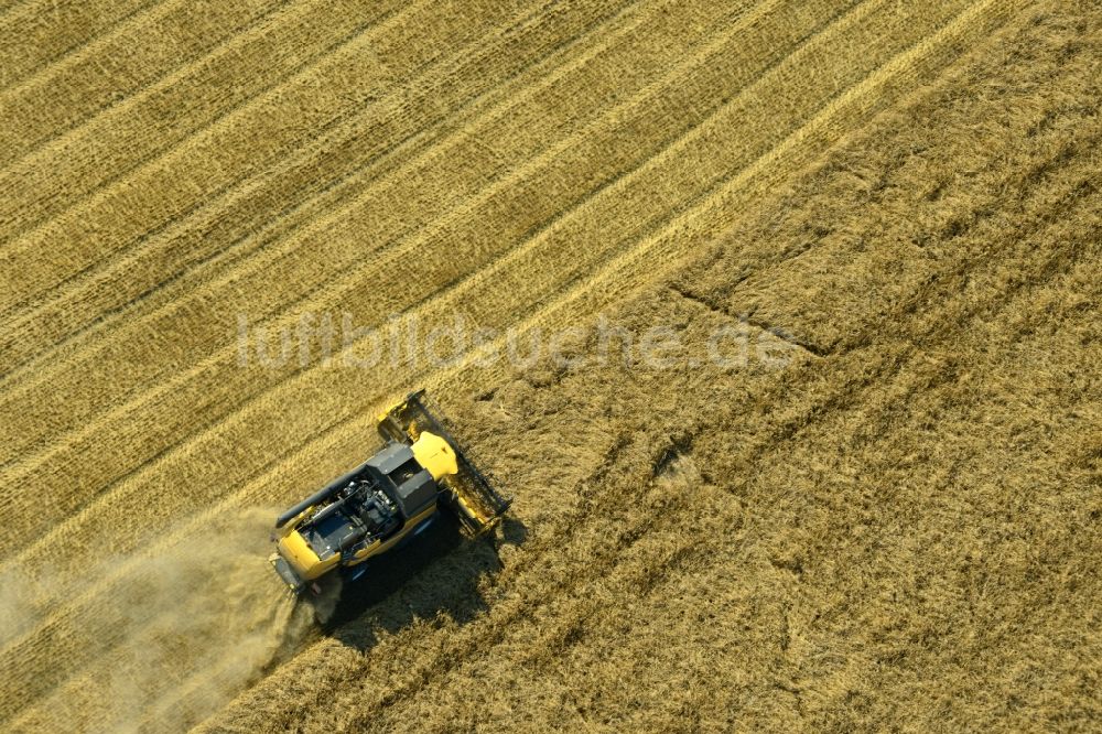 Rauschwitz aus der Vogelperspektive: Mähdrescher eines Landwirtschaftsbetriebes bei der Ernte auf einem Getreidefeld bei Rauschwitz im Bundesland Thüringen