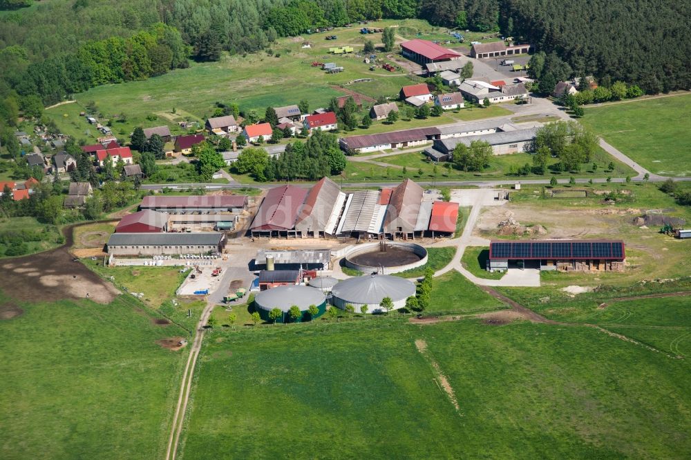 Luftbild Rabenstein/Fläming - Milchviehanlage und Tierzucht- Stallanlagen mit Kühen in Rabenstein/Fläming im Bundesland Brandenburg, Deutschland