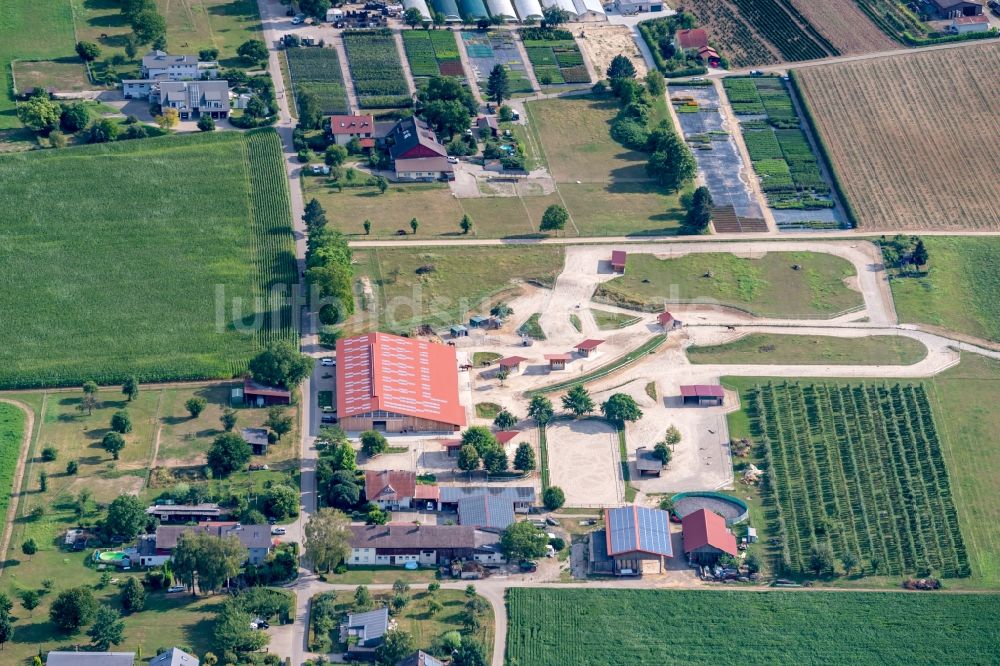 Luftbild Endingen am Kaiserstuhl - Milchviehanlage und Tierzucht- Stallanlagen mit Pferden in Endingen am Kaiserstuhl im Bundesland Baden-Württemberg, Deutschland