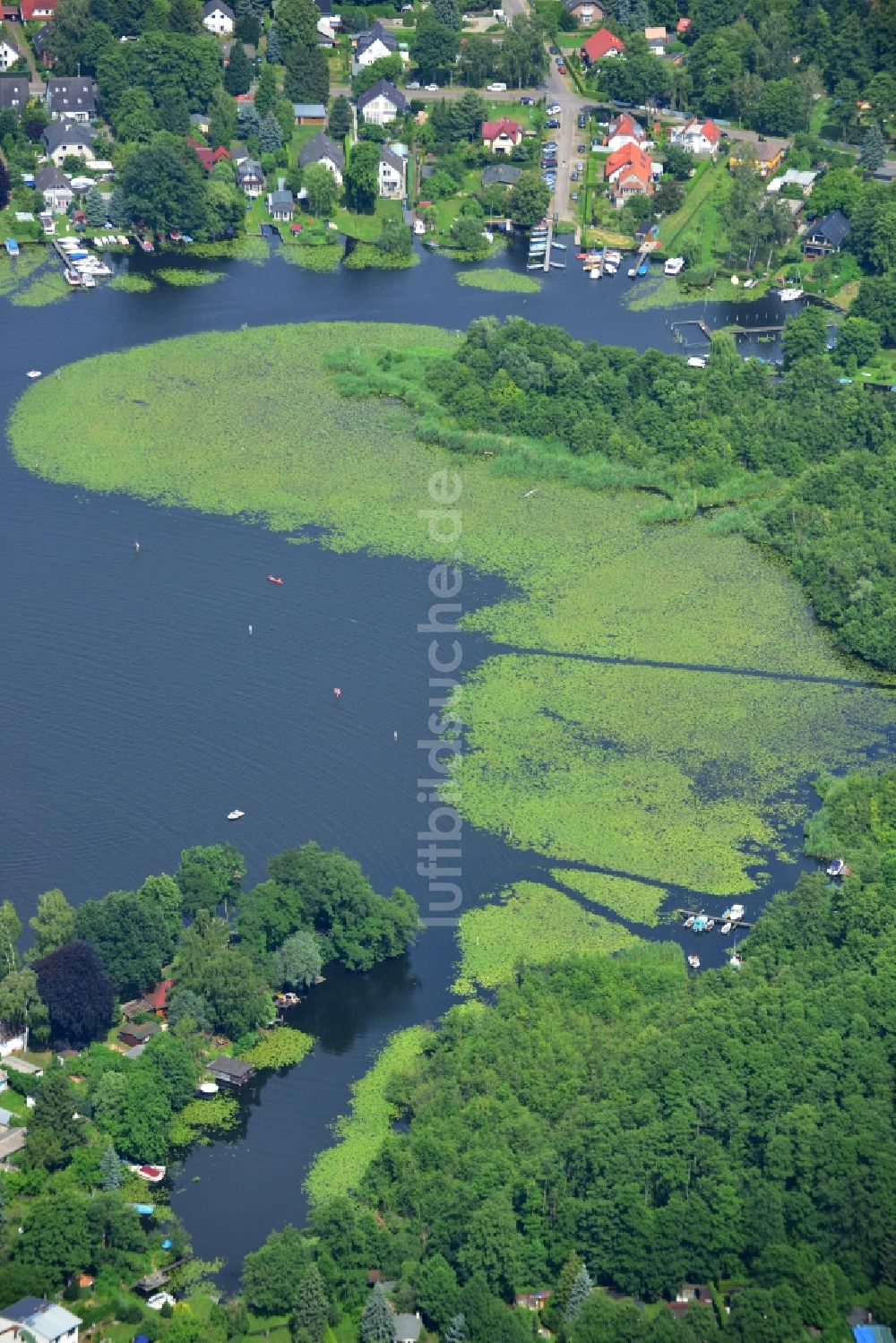 Berlin Rahnsdorf von oben - Mit Entengrütze und Schlingpflanzen verwucherte Uferbereiche am Müggelwerder in Berlin Rahnsdorf