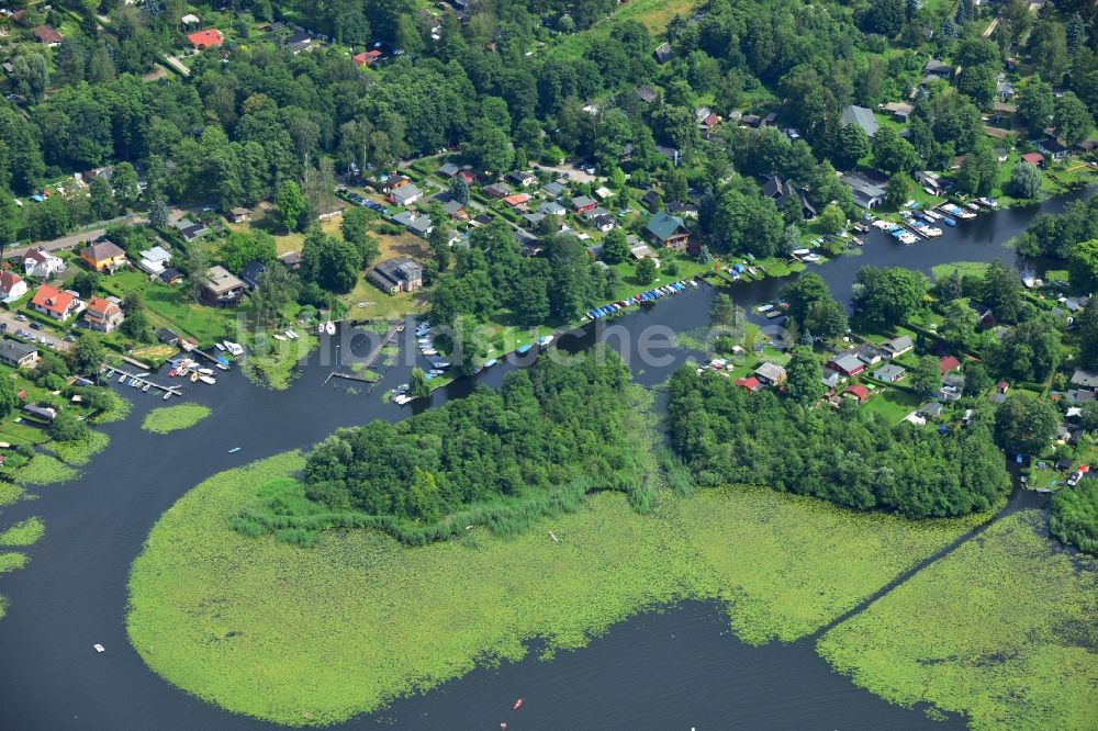 Berlin Rahnsdorf von oben - Mit Entengrütze und Schlingpflanzen verwucherte Uferbereiche am Müggelwerder in Berlin Rahnsdorf