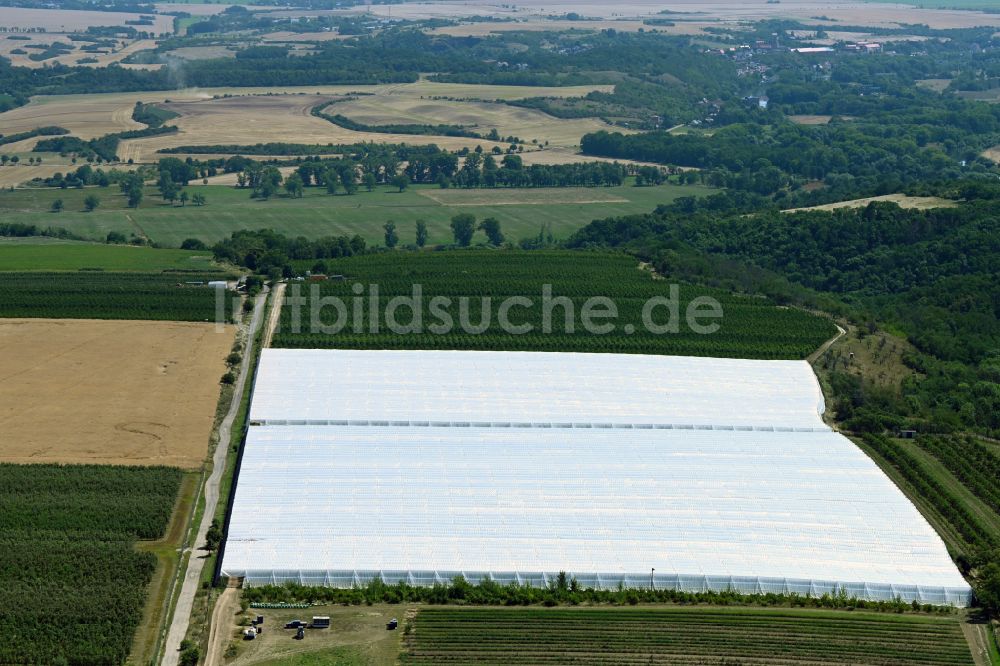 Luftaufnahme Salzatal - Mit Folienzelten überdachte landwirtschaftliche Fläche im Salzatal im Bundesland Sachsen-Anhalt, Deutschland