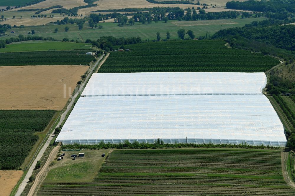 Salzatal von oben - Mit Folienzelten überdachte landwirtschaftliche Fläche im Salzatal im Bundesland Sachsen-Anhalt, Deutschland