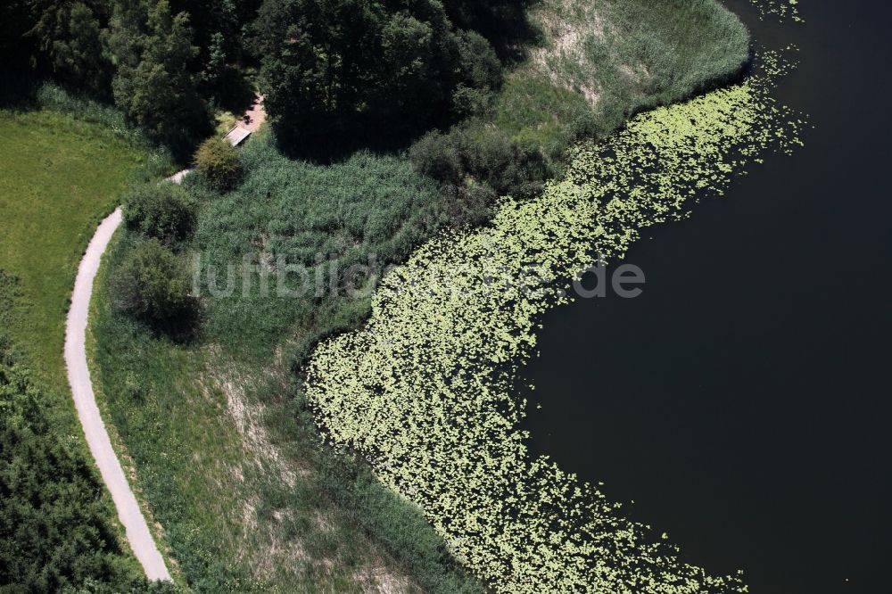 Luftaufnahme Konstanz - Mit Seerosen bewachsener Uferstrich der Insel Mainau im Bundesland Baden-Württemberg