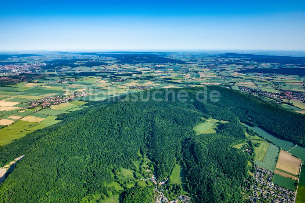 Salzhemmendorf aus der Vogelperspektive: Mittelgebirgslandschaft Saubringoberberg Naturwald in Salzhemmendorf im Bundesland Niedersachsen, Deutschland