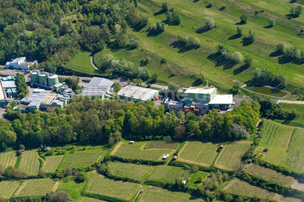 Ringsheim von oben - Müllverbrennungsanlage der ZAK in Ringsheim im Bundesland Baden-Württemberg, Deutschland