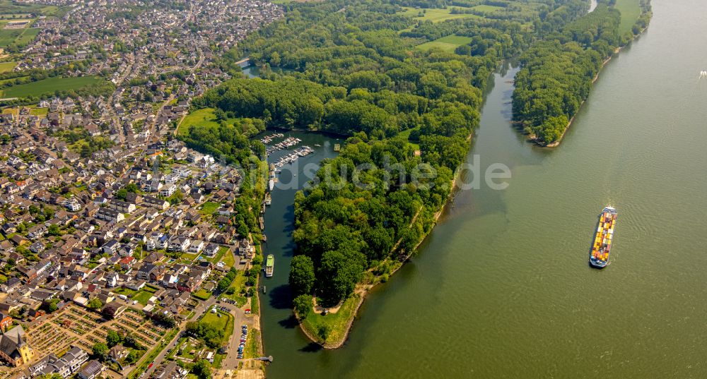 Niederkassel von oben - Mündung der Sieg in den Rhein bei Niedrigwasser in Niederkassel im Bundesland Nordrhein-Westfalen, Deutschland