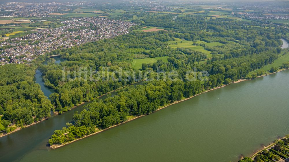 Luftaufnahme Niederkassel - Mündung der Sieg in den Rhein bei Niedrigwasser in Niederkassel im Bundesland Nordrhein-Westfalen, Deutschland