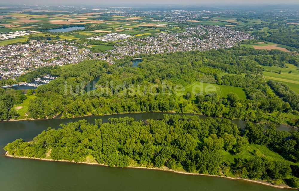 Luftbild Niederkassel - Mündung der Sieg in den Rhein bei Niedrigwasser in Niederkassel im Bundesland Nordrhein-Westfalen, Deutschland