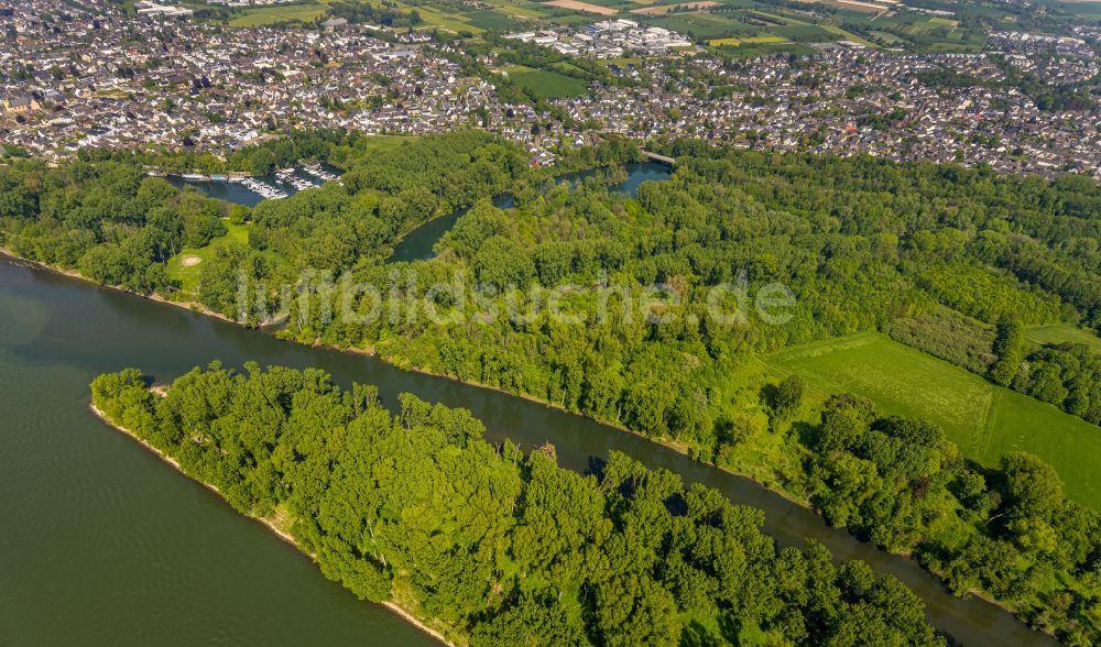 Luftaufnahme Niederkassel - Mündung der Sieg in den Rhein bei Niedrigwasser in Niederkassel im Bundesland Nordrhein-Westfalen, Deutschland