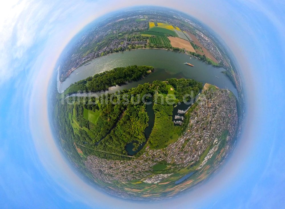 Luftbild Niederkassel - Mündung der Sieg in den Rhein bei Niedrigwasser in Niederkassel im Bundesland Nordrhein-Westfalen, Deutschland