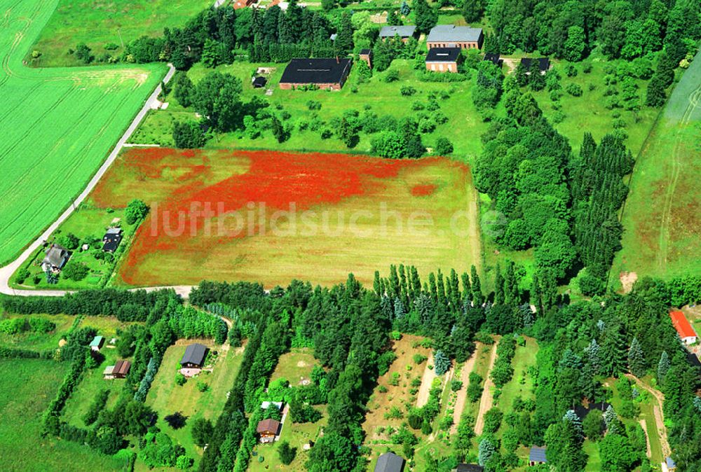 Luftaufnahme Papendorf - Mohnfeldlandschaft bei Papendorf im Bundesland Mecklenburg-Vorpommern