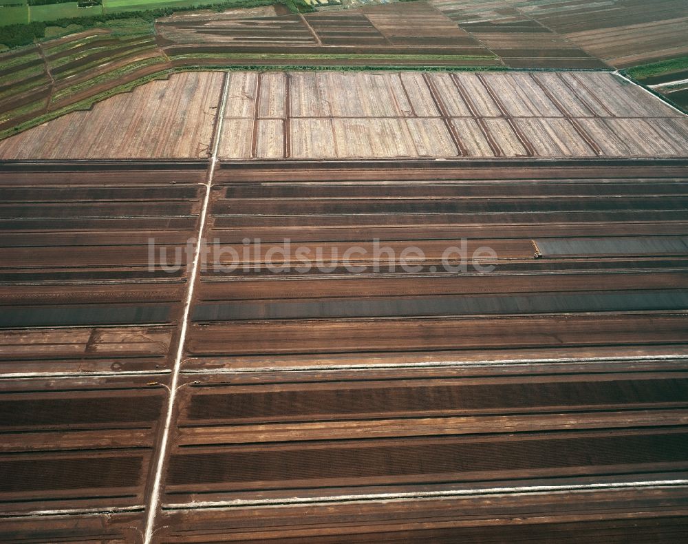 Luftaufnahme Papenburg - Moor im Stadtgebiet von Papenburg im Bundesland Niedersachsen