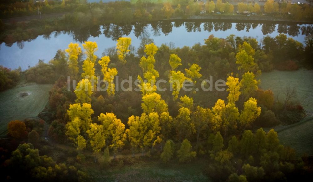 Luftaufnahme Essen - Morgendliche Herbst- Stimmung über dem Naturschutzgebiet Ruhrauen am Ufer des Flusses in Heisingen im Bundesland Nordrhein-Westfalen