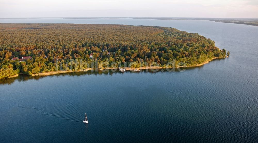 Waren (Müritz) von oben - Müritz - Nationalpark bei Waren im Bundesland Mecklenburg-Vorpommern