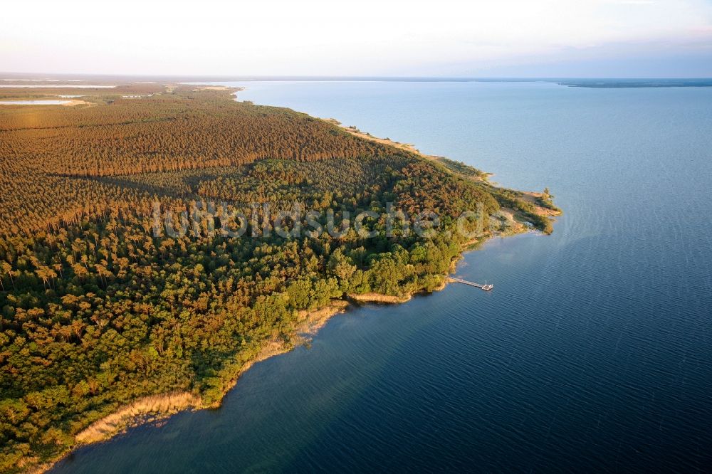 Luftbild Waren (Müritz) - Müritz - Nationalpark bei Waren im Bundesland Mecklenburg-Vorpommern