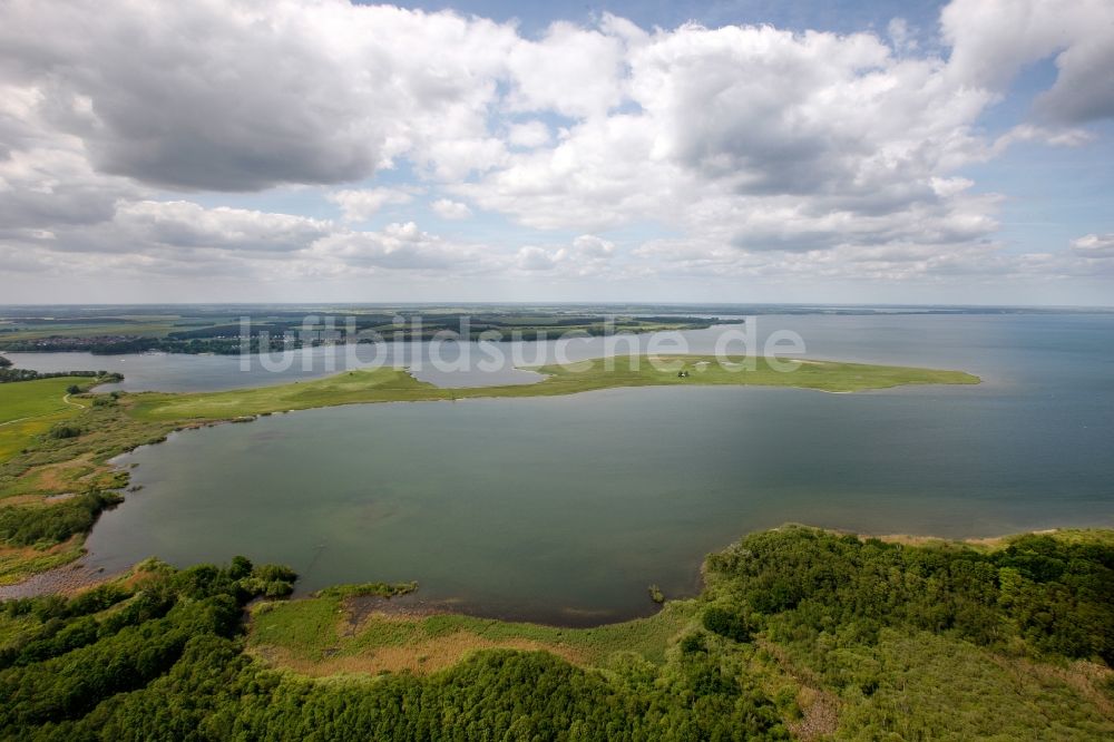 Röbel aus der Vogelperspektive: Müritz in Röbel im Bundesland Mecklenburg-Vorpommern